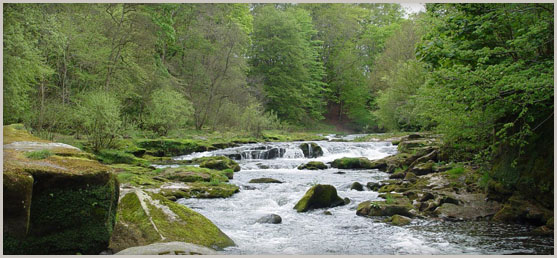 A Rothbury riverside walk