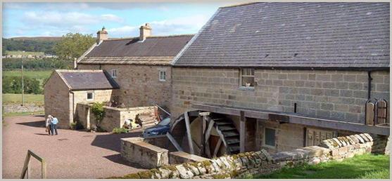 The Old Mill near Rothbury, Northumberland