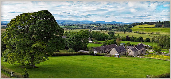 The Cheviot Hills - A stunning backdrop