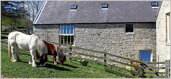 The Mill with Peggy and Bridge grazing in the foreground